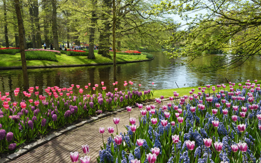 39994 (a): :2560x1600